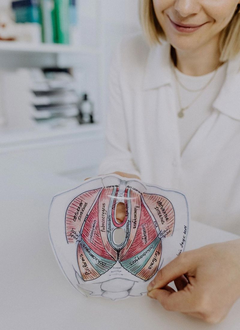 Dr. med. Rieke Hermann erklärt den Beckenboden.